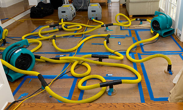 Professional Basement Flood Cleanup technician working in Birch Run, MI